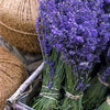 Lavender 真正薰衣草 - Certified Organic