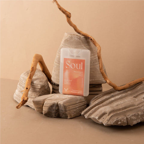 'Your Wellness Kit' - Organic Sanitizer (*EXP: 8/2024*)