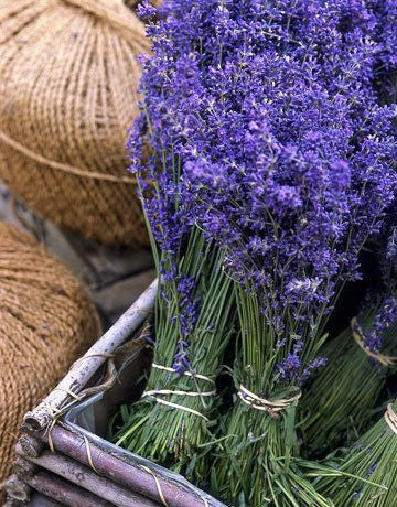 Lavender 真正薰衣草 - Certified Organic