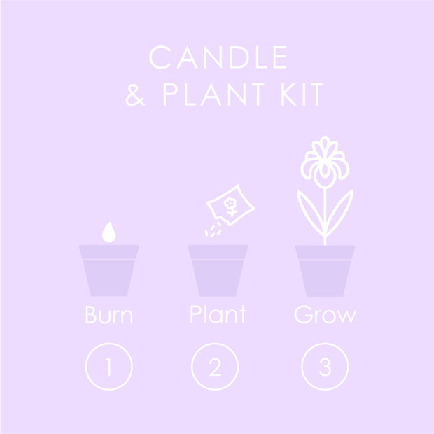 盆栽蠟燭 Plant Candle Kit / 固體香水膏 Solid Perfume